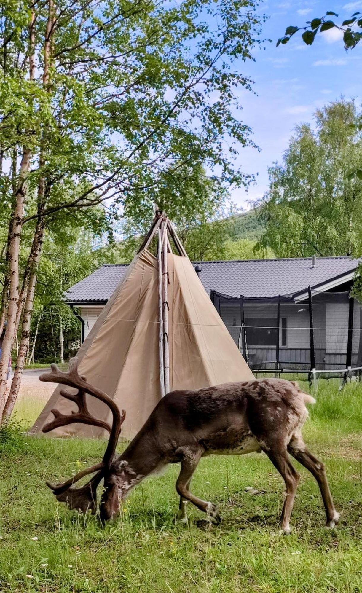 Maggala Apartments Utsjoki Exteriér fotografie